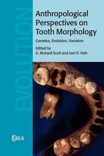 Anthropological Perspectives on Tooth Morphology: Genetics, Evolution, Variation(Series Number 66 Cambridge Studies in Biological and Evolutionary Anthropology)