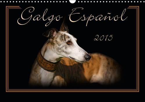Galgo Español 2015 2015: Galgo Español -  The Spanish Sighthound. Dog photograph of the other kind. Experience 12 pieces of art in a unique composition from animal photograp(Calvendo Animals)
