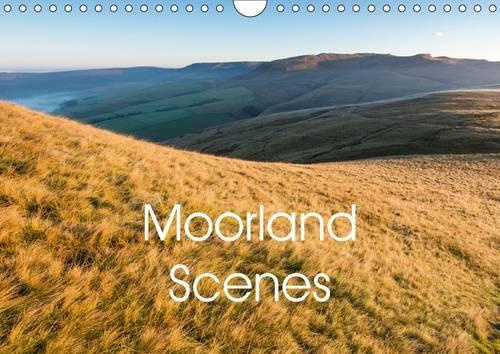 Moorland Scenes 2017