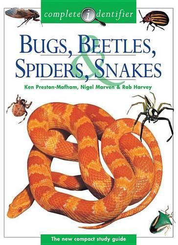 Bugs, Beetles, Spiders, & Snakes