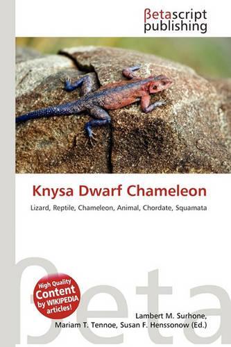 Knysa Dwarf Chameleon