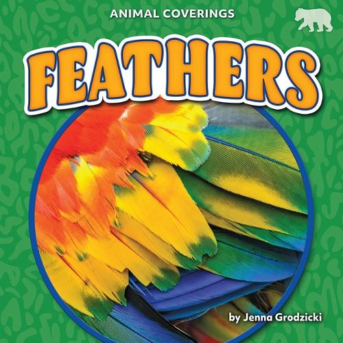 Feathers: (Animal Coverings)
