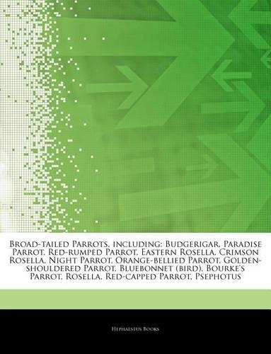 Articles on Broad-Tailed Parrots, Including