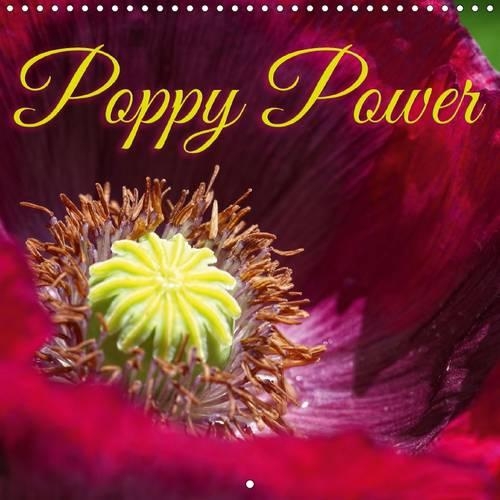 Poppy Power 2015