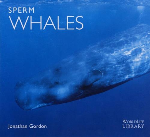 Sperm Whales
