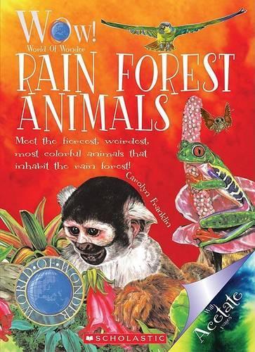Rain Forest Animals
