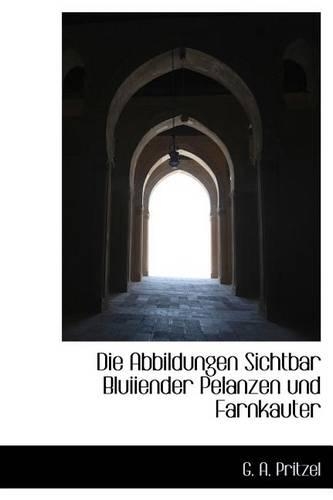 Die Abbildungen Sichtbar Bluiiender Pelanzen Und Farnkauter