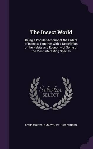 The Insect World