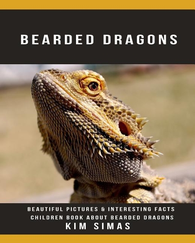 Bearded Dragons