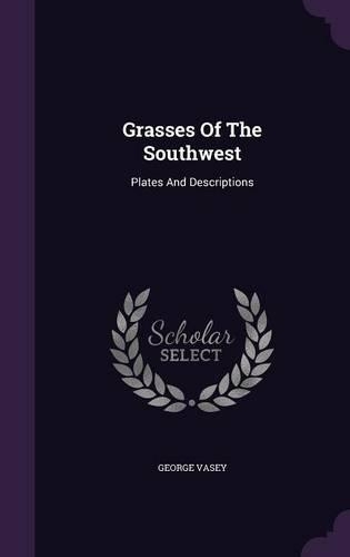 Grasses Of The Southwest: Plates And Descriptions