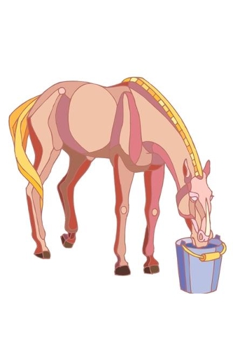 2020 Weekly Planner Horse Illustration Equine Horse Drinking Bucket 134 Pages: 2020 Planners Calendars Organizers Datebooks Appointment Books Agendas