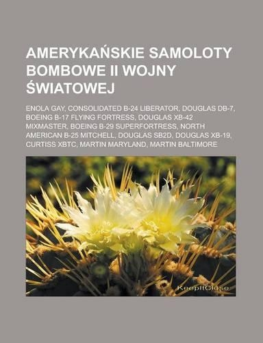 Ameryka Skie Samoloty Bombowe II Wojny Wiatowej