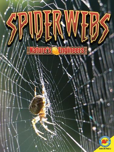 Spider Webs