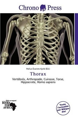 Thorax