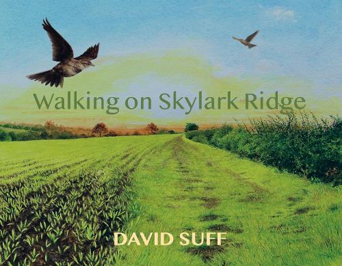 WALKING ON SKYLARK RIDGE
