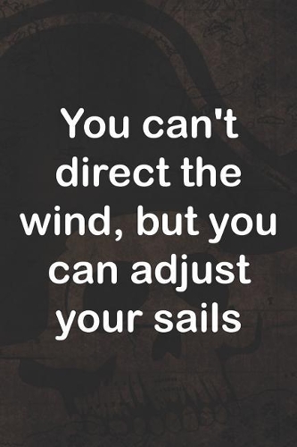 You Can't Direct The Wind, But You Can Adjust Your Sails