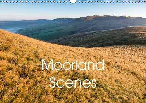 Moorland Scenes 2017