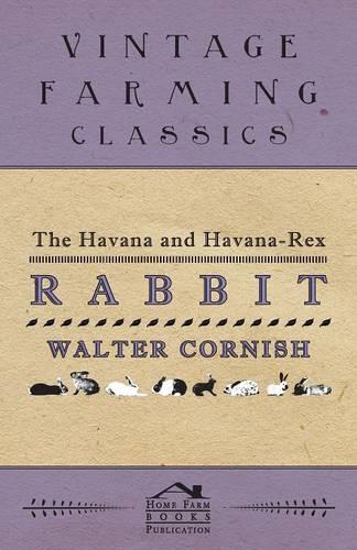 The Havana and Havana-Rex Rabbit: (English)