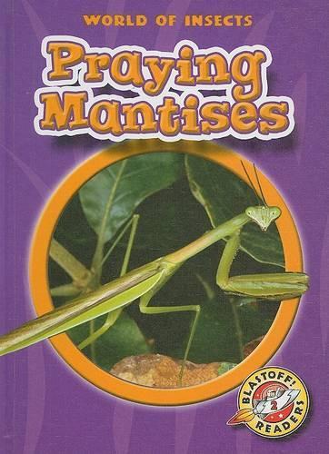 Praying Mantises
