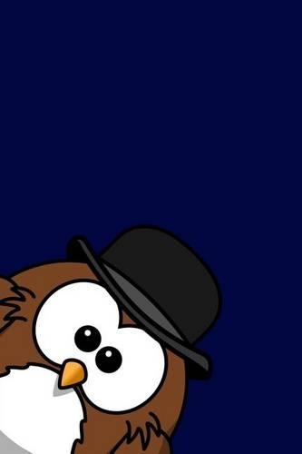 Peek A Derby Owl