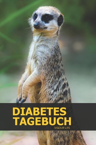 Diabetes Tagebuch