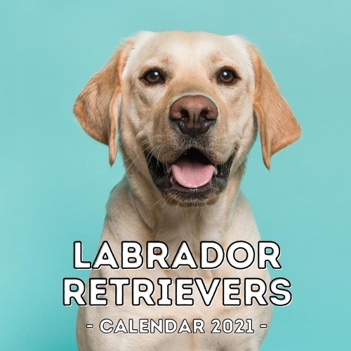 Labrador Retrievers