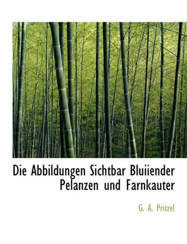 Die Abbildungen Sichtbar Bluiiender Pelanzen Und Farnkauter