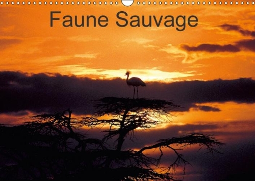 Faune Sauvage 2018: Voyage Initiatique, Dans Les Regions Les Plus Sauvages Au Monde.(Calvendo Animaux)