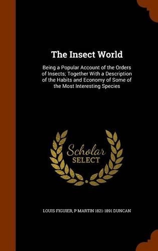 The Insect World
