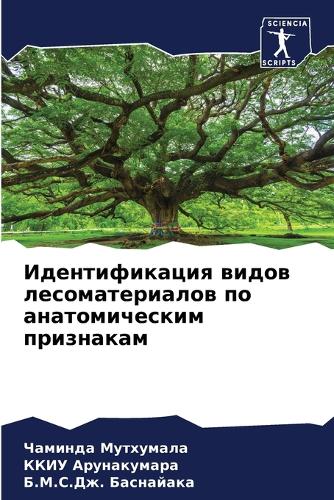 &#1048;&#1076;&#1077;&#1085;&#1090;&#1080;&#1092;&#1080;&#1082;&#1072;&#1094;&#1080;&#1103; &#1074;&#1080;&#1076;&#1086;&#1074; &#1083;&#1077;&#1089;&#1086;&#1084;&#1072;&#1090;&#1077;&#1088;&#1080;&#1072;&#1083;&#1086;&#1074; &#1087;&#1086; &#1072