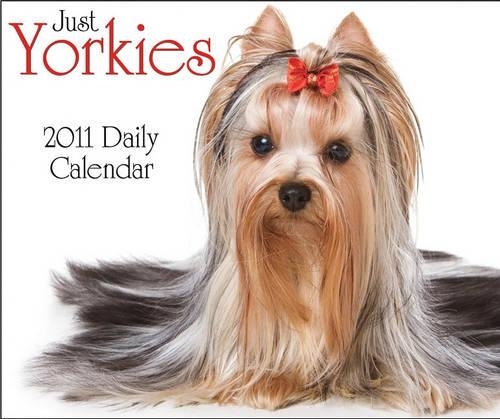 Just Yorkies Daily Calendar