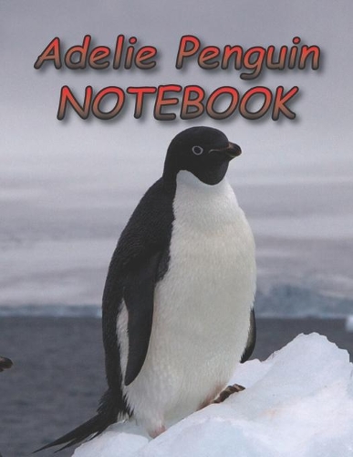 Adelie Penguin NOTEBOOK: notebooks and journals 110 pages (8.5"x11")