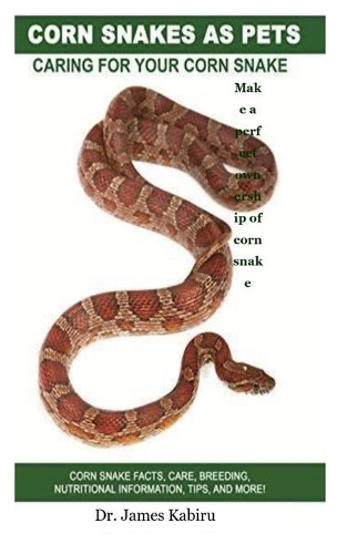 Corn Snake As Pets