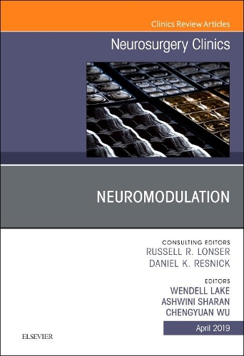Neuromodulation, an Issue of Neurosurgery Clinics of North America, an Issue of Neurosurgery Clinics of North America: (30 Clinics: Surgery)