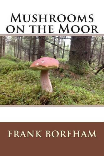 Mushrooms on the Moor