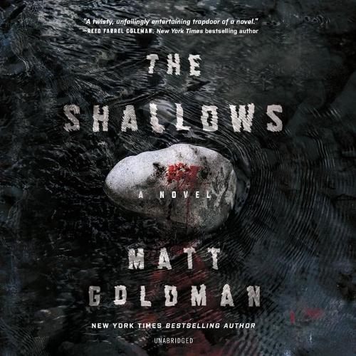 The Shallows Lib/E: (The Nils Shapiro Series Lib/E, 3)