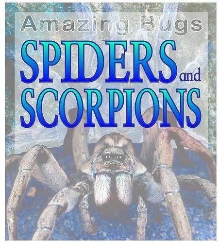 Spiders and Scorpions: (Amazing Bugs)