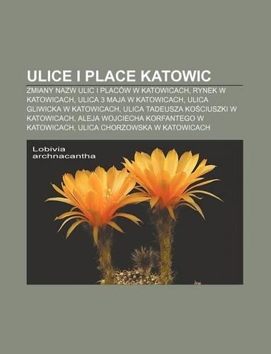 Ulice I Place Katowic