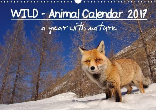 Wild - Animal Calendar 2017 / UK Version 2017: A Year with Nature(Calvendo Places)