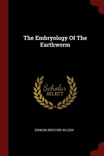 Embryology Of The Earthworm