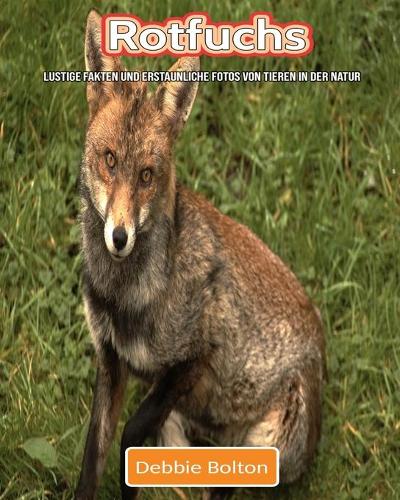 Rotfuchs: Lustige Fakten und erstaunliche Fotos von Tieren in der Natur