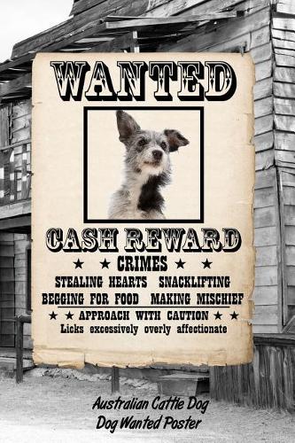 Australian Cattle Dog Dog Wanted Poster
