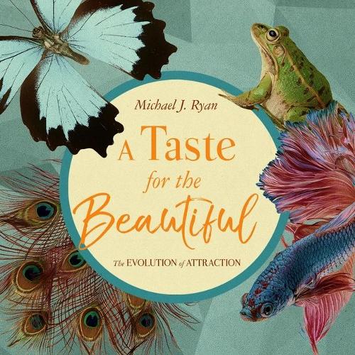A Taste for the Beautiful Lib/E: The Evolution of Attraction