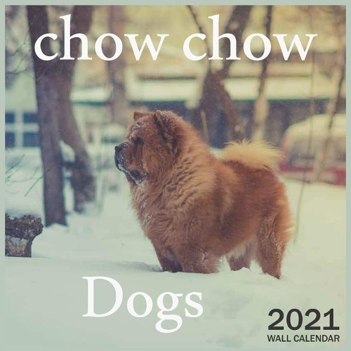 Dogs chow chow: 2021 Wall & Office Calendar, 12 Month Calendar