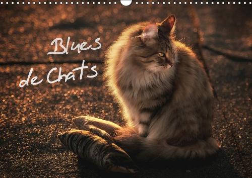 Blues de Chats 2019: Des chats élevés avec le blues dans le sang !(Calvendo Animaux)