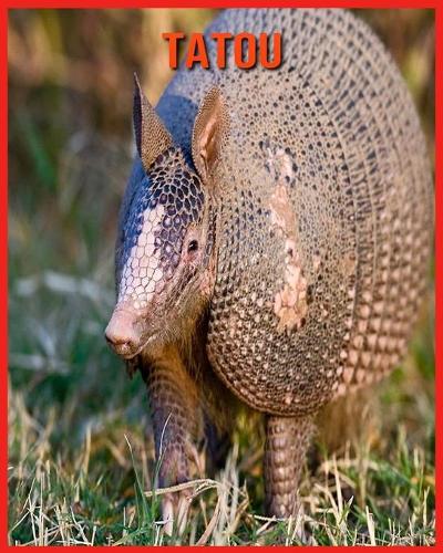 Tatou
