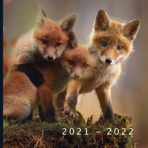 2021 - 2022