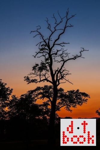 The Dot Book - A Dot Grid Notebook for Graphic Designers - Light Series - 008