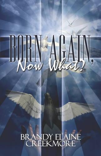 Born Again, Now What?