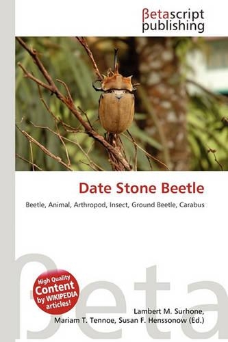 Date Stone Beetle